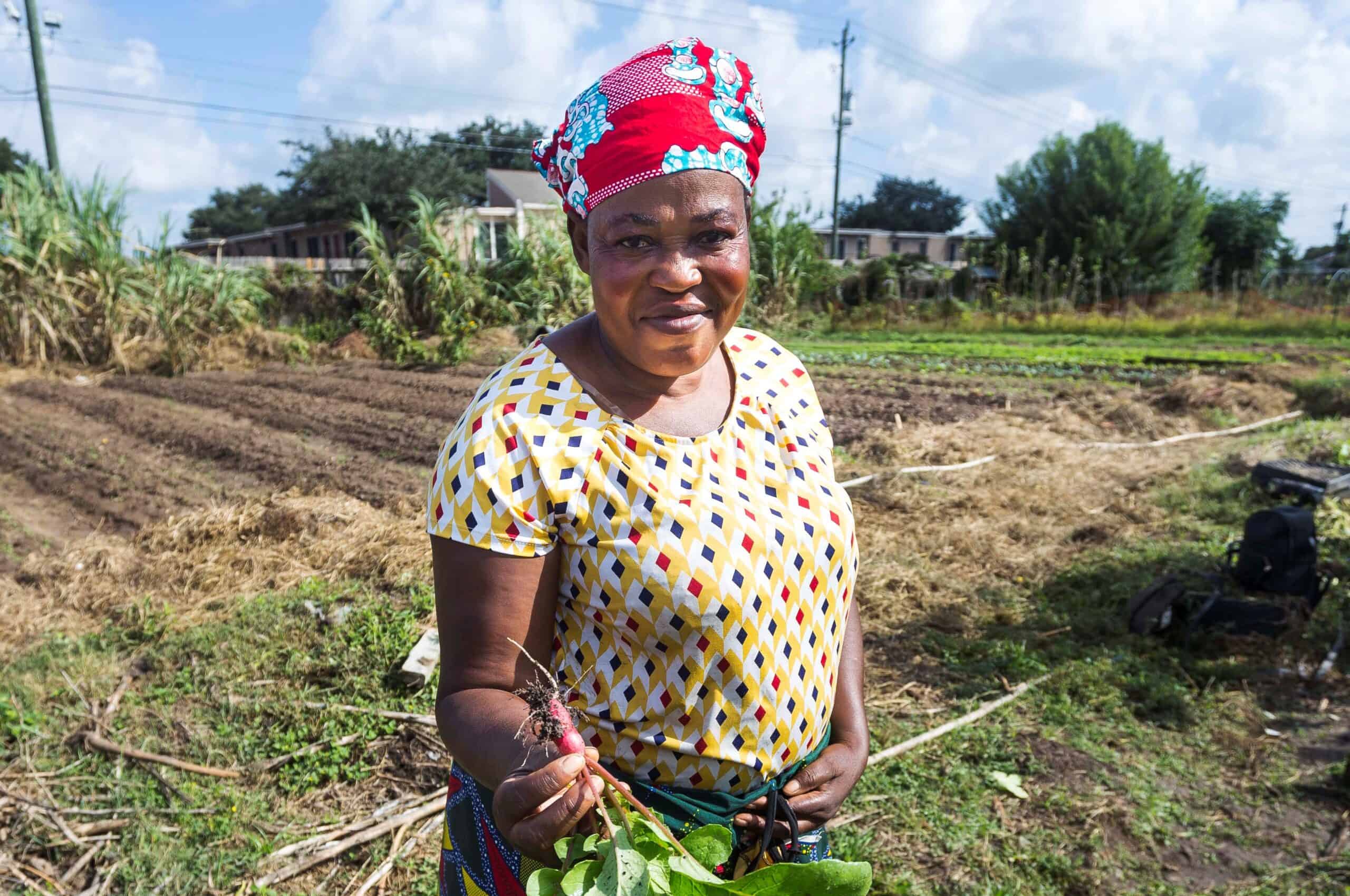 50546299656_69c13f13c2_o