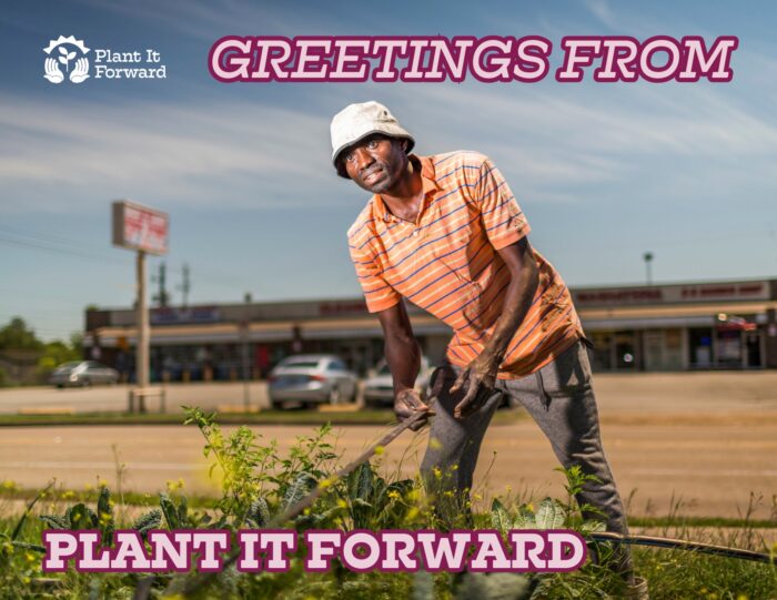 Plant It Forward Recipe Postcard - Supports our 2024 Winter Campaign!